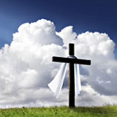 Ray R. Tieszen